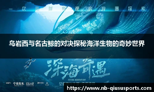 球速体育官方网站